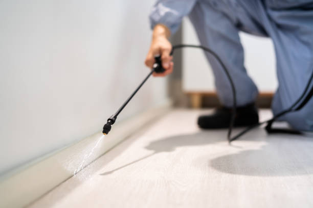 Licensed Mosquito Control service in Santa Fe Springs, CA - Show Me Pest Control