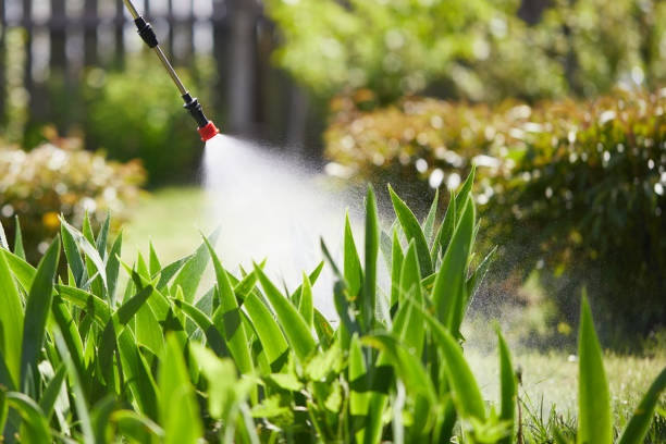 24/7 Emergency Mosquito Control experts in Santa Fe Springs, CA