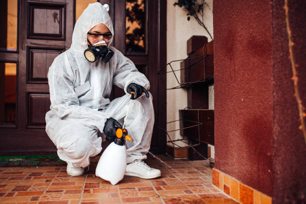 Reliable Mosquito Control contractor in Santa Fe Springs, CA by Show Me Pest Control